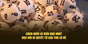 Cách Nuôi Lô Hiệu Quả Nhất: Học Hỏi Bí Quyết Từ Cao Thủ Lô Đề