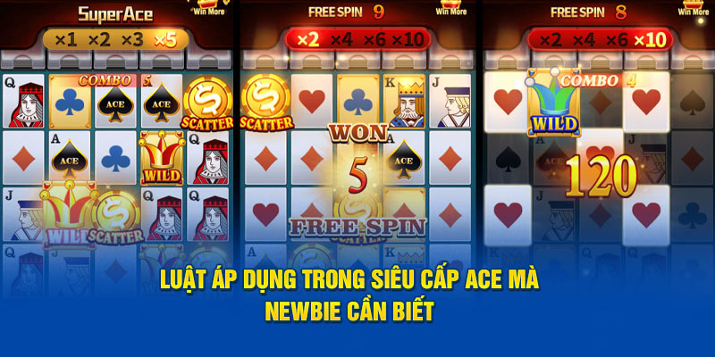 Luật áp dụng trong siêu cấp ACE mà newbie cần biết 